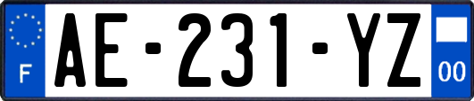 AE-231-YZ