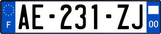 AE-231-ZJ