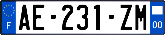 AE-231-ZM