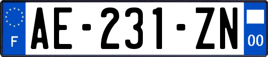 AE-231-ZN