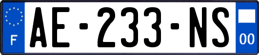 AE-233-NS