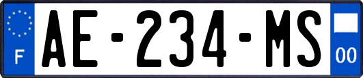 AE-234-MS