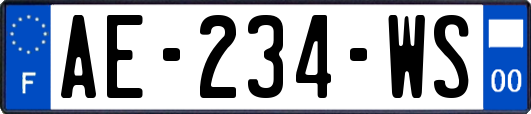 AE-234-WS
