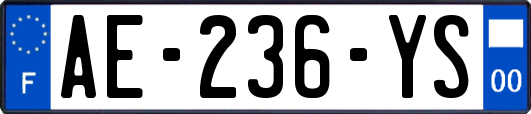 AE-236-YS