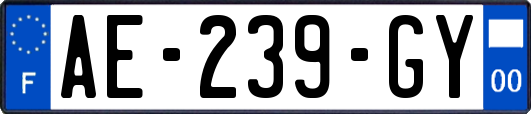 AE-239-GY