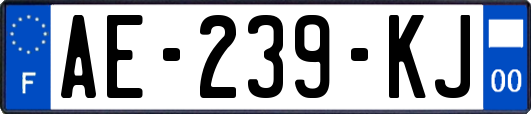 AE-239-KJ