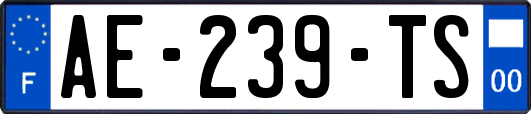 AE-239-TS