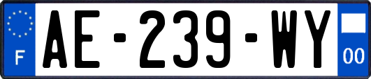 AE-239-WY