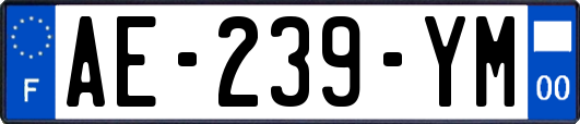 AE-239-YM