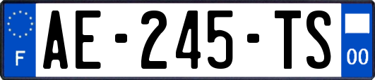 AE-245-TS