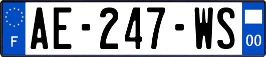 AE-247-WS