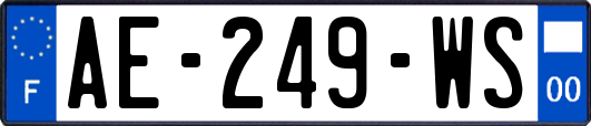 AE-249-WS