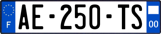 AE-250-TS