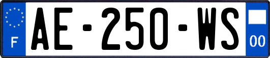 AE-250-WS