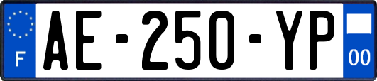 AE-250-YP