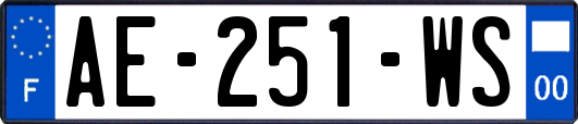 AE-251-WS