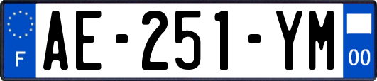 AE-251-YM