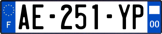 AE-251-YP