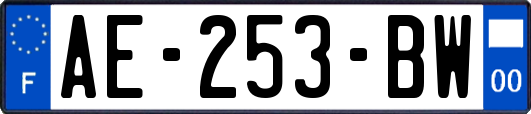 AE-253-BW