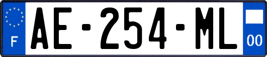 AE-254-ML