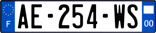 AE-254-WS