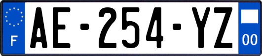 AE-254-YZ