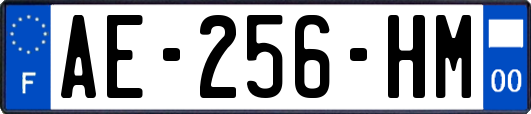 AE-256-HM