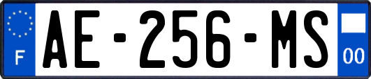 AE-256-MS