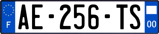 AE-256-TS