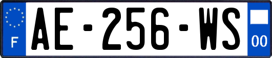 AE-256-WS