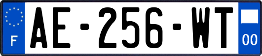 AE-256-WT