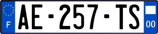 AE-257-TS