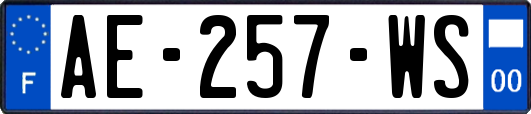 AE-257-WS