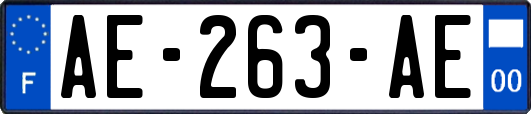 AE-263-AE