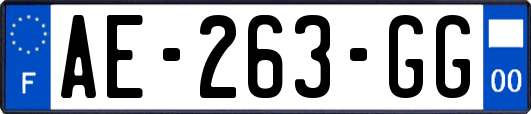 AE-263-GG