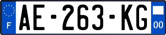 AE-263-KG