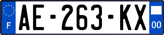 AE-263-KX