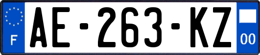 AE-263-KZ