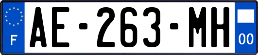 AE-263-MH
