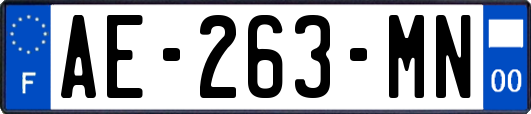 AE-263-MN
