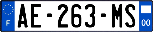 AE-263-MS