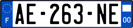 AE-263-NE