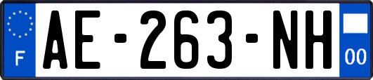 AE-263-NH