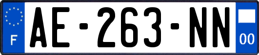 AE-263-NN