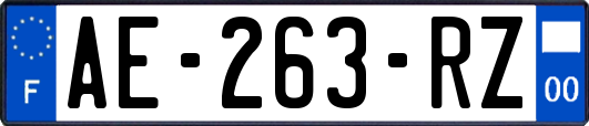 AE-263-RZ