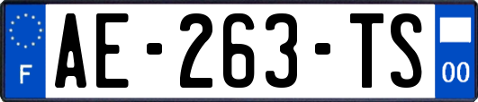 AE-263-TS