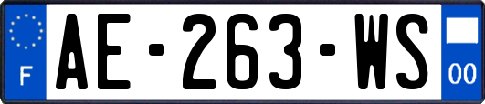 AE-263-WS