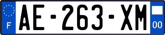 AE-263-XM