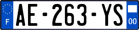 AE-263-YS