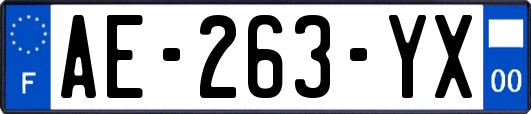 AE-263-YX